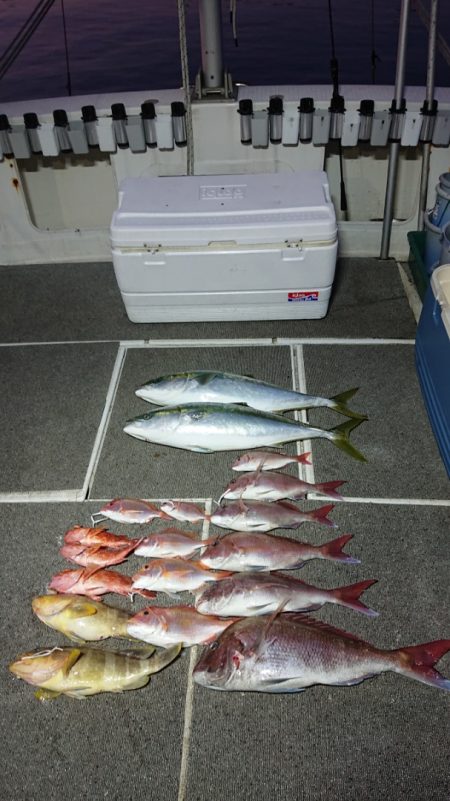 ARCADIAⅡ (アルカディアⅡ) 釣果