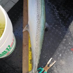 第二龍勢丸 釣果