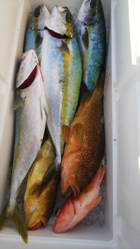 第二龍勢丸 釣果