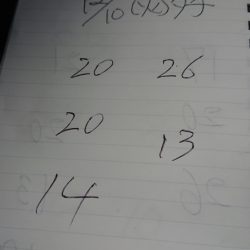 金沢八景鴨下丸 釣果