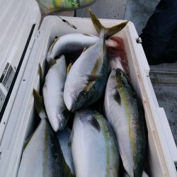 LUSTER『ラスター』 釣果