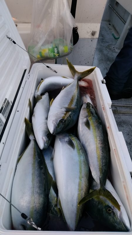 LUSTER『ラスター』 釣果