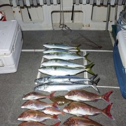 ARCADIAⅡ (アルカディアⅡ) 釣果