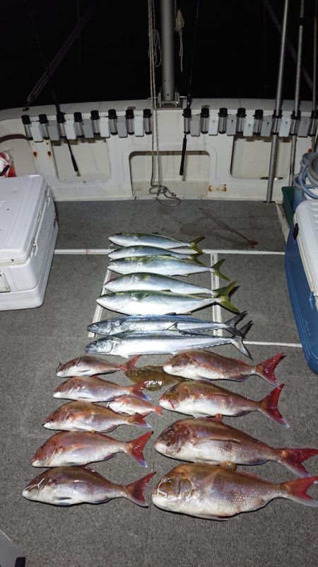 ARCADIAⅡ (アルカディアⅡ) 釣果