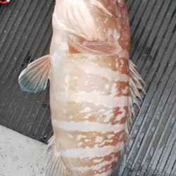 第二龍勢丸 釣果