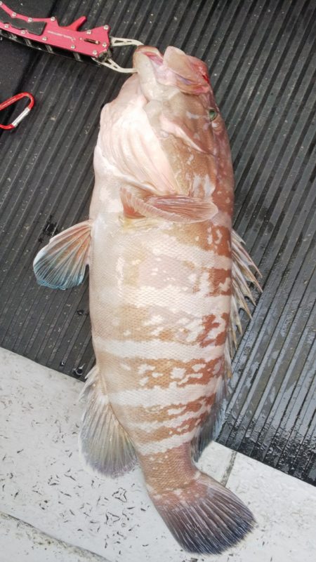 第二龍勢丸 釣果