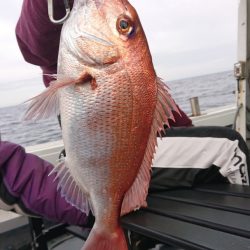 だて丸 釣果