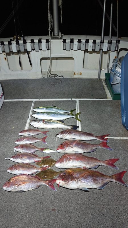 ARCADIAⅡ (アルカディアⅡ) 釣果