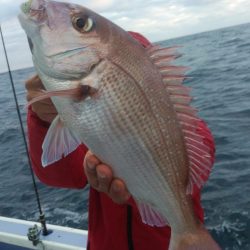 新幸丸 釣果