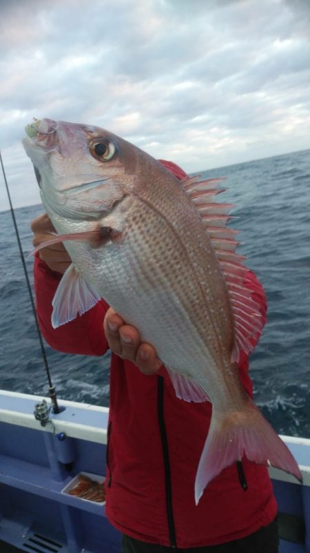 新幸丸 釣果
