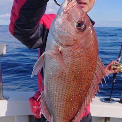 ARCADIAⅡ （アルカディアⅡ） 釣果