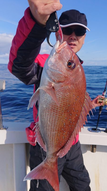 ARCADIAⅡ （アルカディアⅡ） 釣果