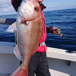 ARCADIAⅡ （アルカディアⅡ） 釣果