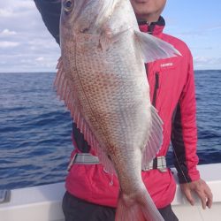 ARCADIAⅡ （アルカディアⅡ） 釣果