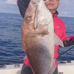 ARCADIAⅡ （アルカディアⅡ） 釣果