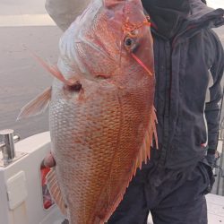 ARCADIAⅡ （アルカディアⅡ） 釣果