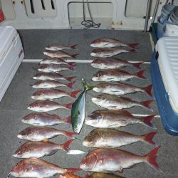 ARCADIAⅡ （アルカディアⅡ） 釣果