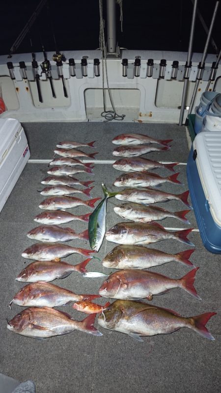 ARCADIAⅡ （アルカディアⅡ） 釣果