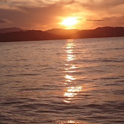 ARCADIAⅡ （アルカディアⅡ） 釣果