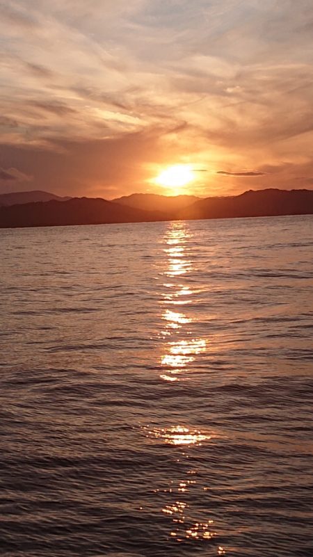 ARCADIAⅡ （アルカディアⅡ） 釣果