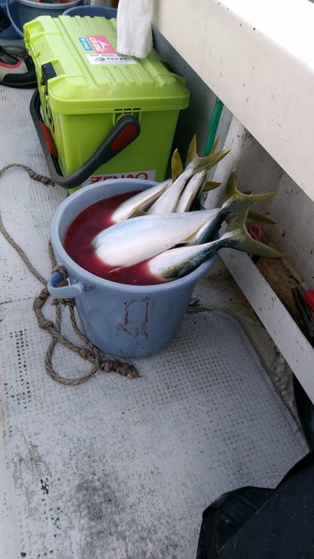 LUSTER『ラスター』 釣果