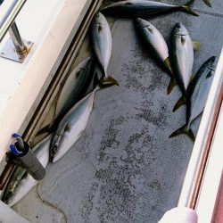 LUSTER『ラスター』 釣果