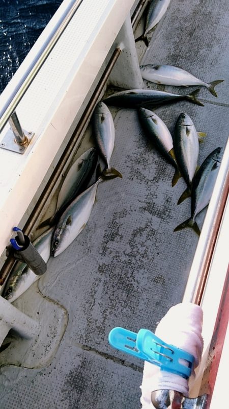 LUSTER『ラスター』 釣果