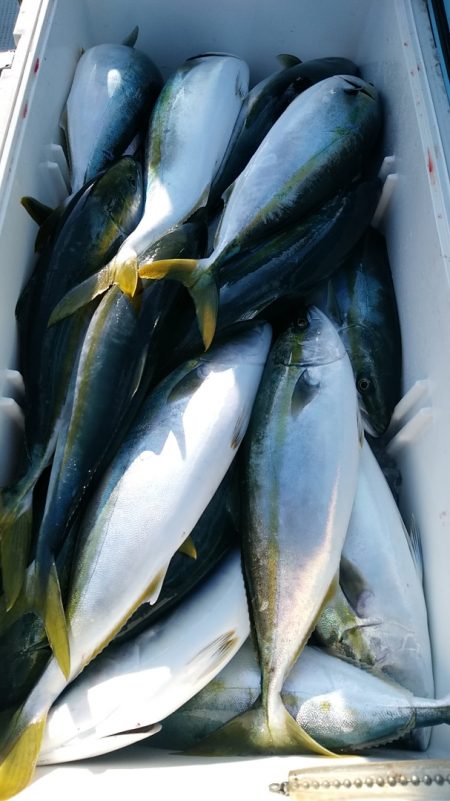 LUSTER『ラスター』 釣果