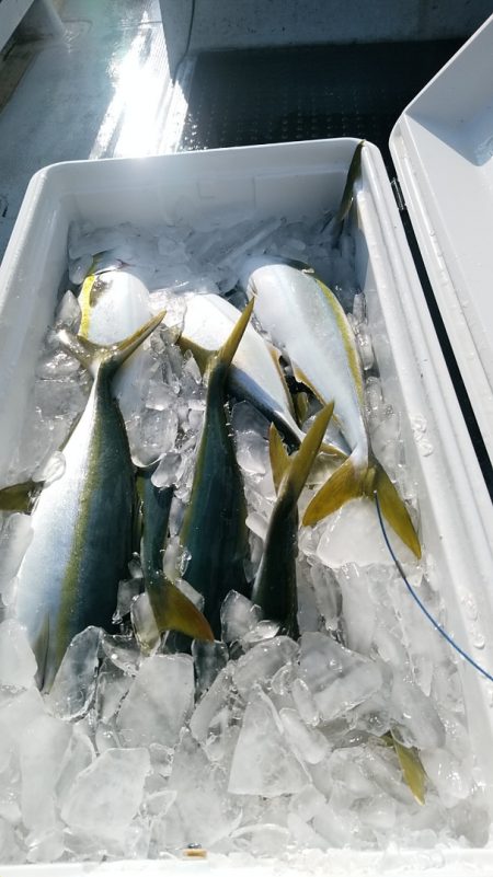 LUSTER『ラスター』 釣果