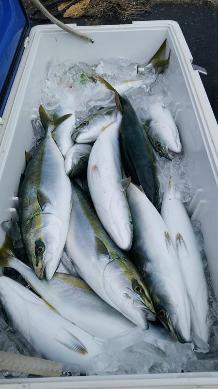 LUSTER『ラスター』 釣果