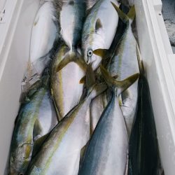 LUSTER『ラスター』 釣果