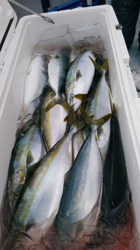 LUSTER『ラスター』 釣果