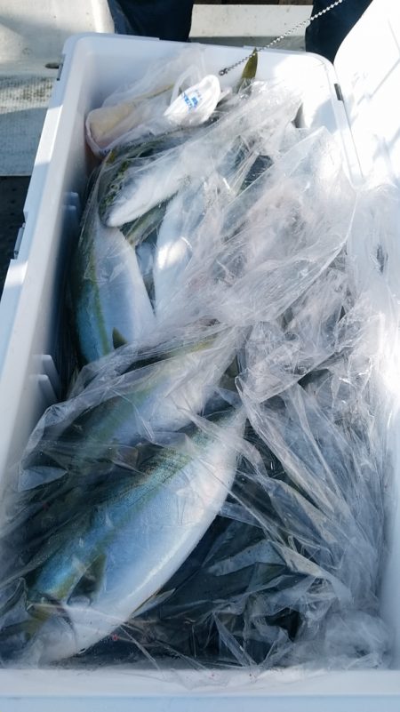 LUSTER『ラスター』 釣果