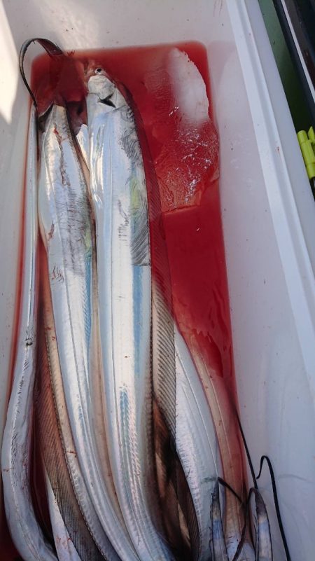 金沢八景鴨下丸 釣果