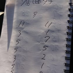 金沢八景鴨下丸 釣果