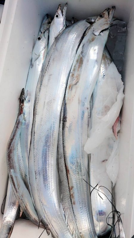 金沢八景鴨下丸 釣果