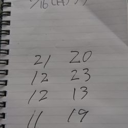 金沢八景鴨下丸 釣果