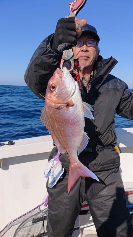 ARCADIAⅡ (アルカディアⅡ) 釣果