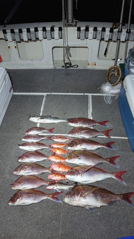 ARCADIAⅡ (アルカディアⅡ) 釣果