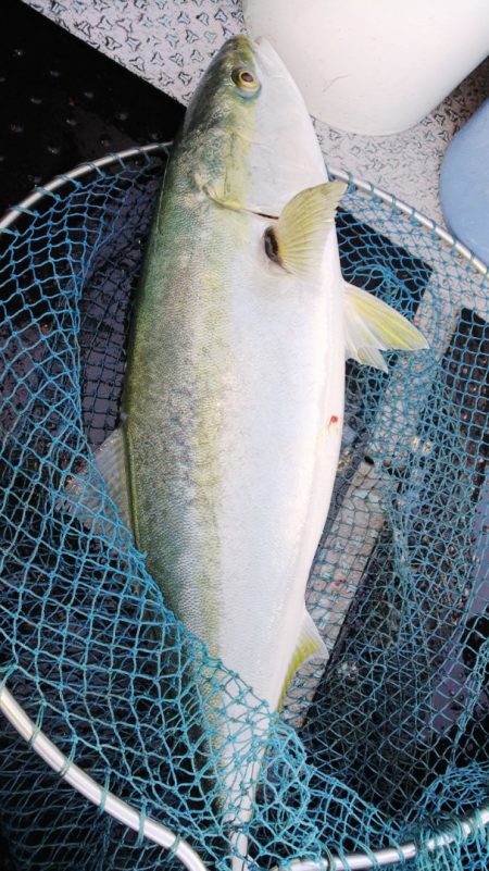 第二龍勢丸 釣果