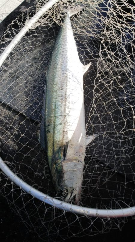 第二龍勢丸 釣果