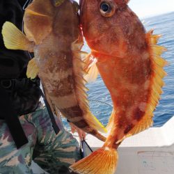 第二龍勢丸 釣果