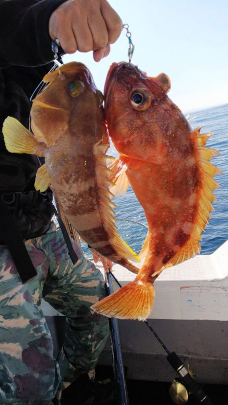 第二龍勢丸 釣果