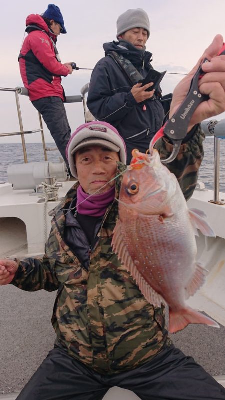 ARCADIAⅡ (アルカディアⅡ) 釣果