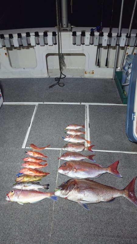 ARCADIAⅡ (アルカディアⅡ) 釣果