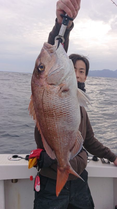 ARCADIAⅡ (アルカディアⅡ) 釣果