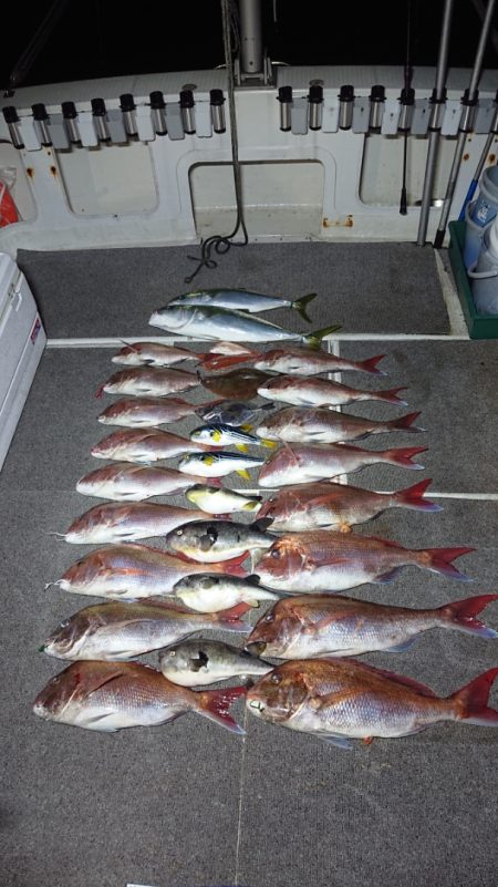 ARCADIAⅡ (アルカディアⅡ) 釣果