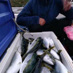 LUSTER『ラスター』 釣果