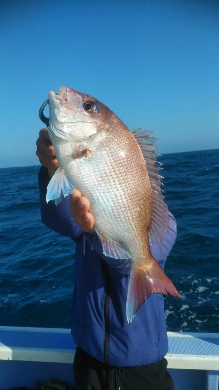新幸丸 釣果