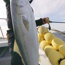 だて丸 釣果